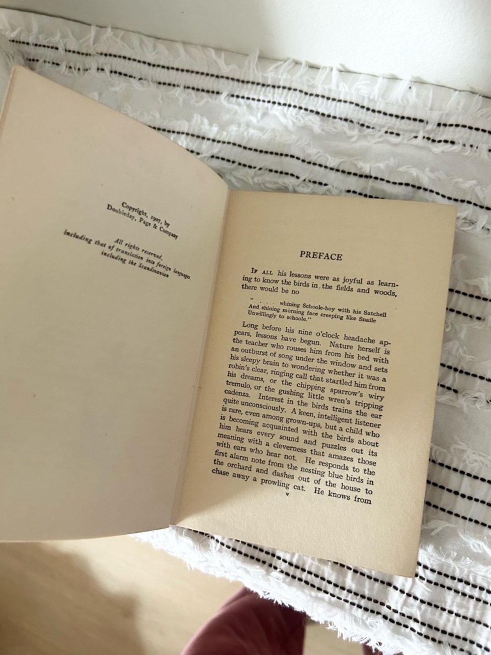 Antique 1907 “Birds Every Child Should Know” Neltje Blanchan Hardcover Book - Picture 6 of 10